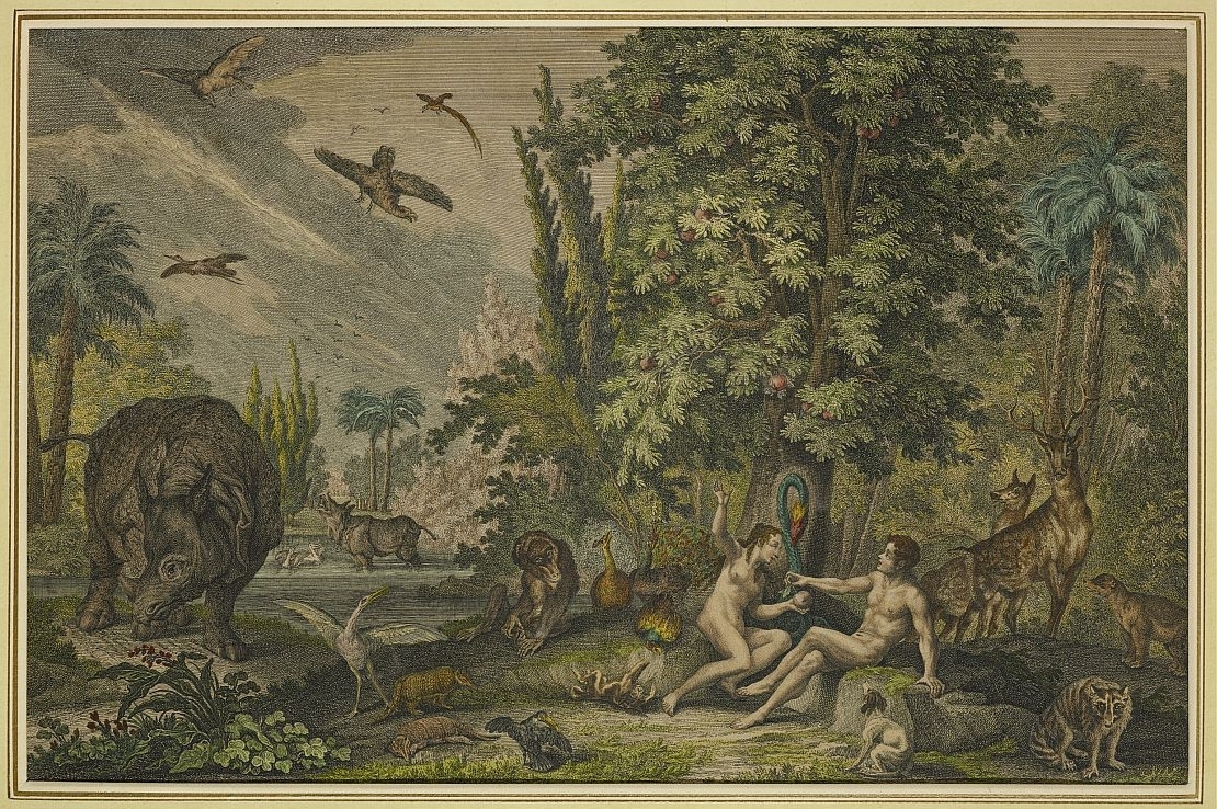 Die kolorierte Radierung von Johann Elias Ridinger zeigt Eva, die Adam den Apfel reicht. Das Blatt stammt von 1748/50.