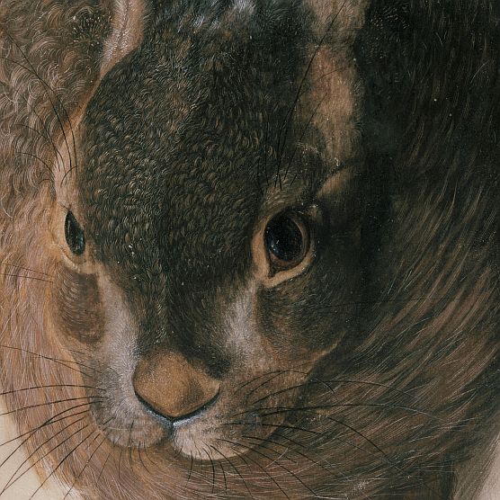 Hase, gemalt von Hans Hoffmann