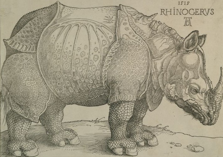 Holzschnitt von Albrecht Dürer mit dem Rhinozerus aus dem Jahre 1515