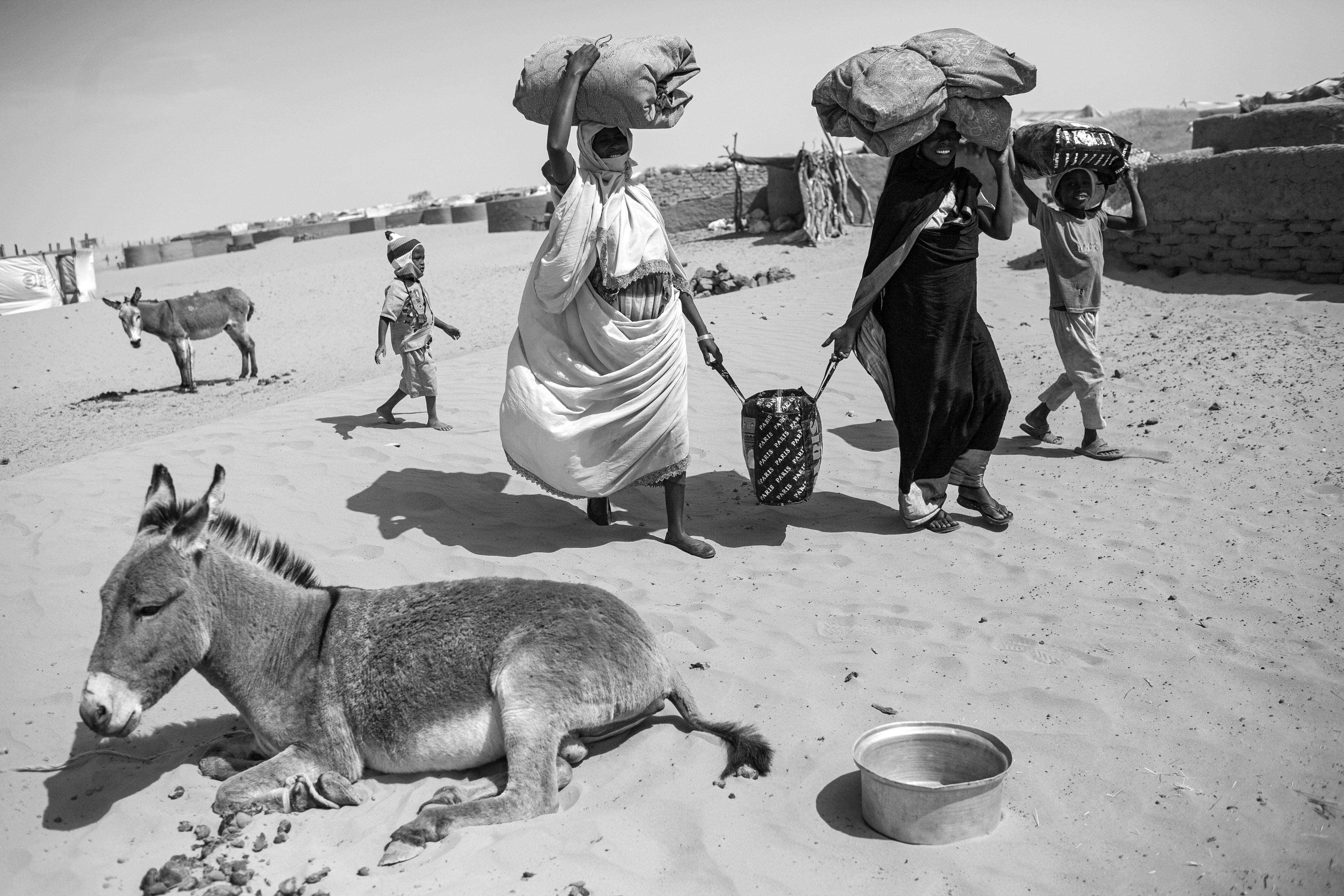 Child Refugee with Donkey, Per-Anders Pettersson, 2007