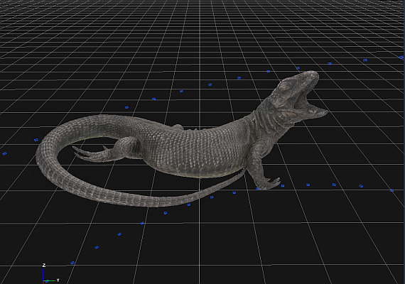 3D Modelle aus dem GNM