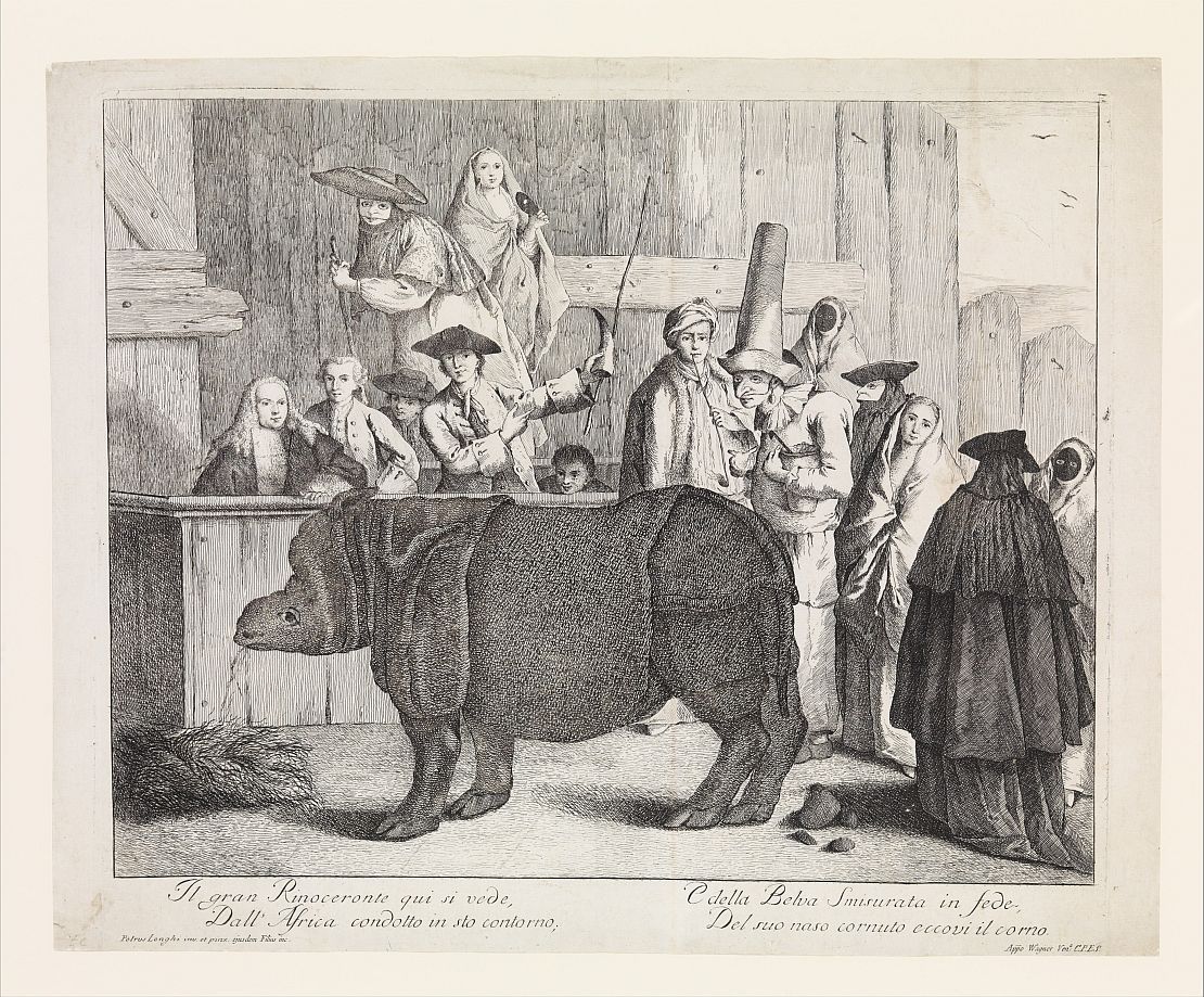 Die Radierung von Alessandro Longhi nach Pietro Longhi zeigt das Nashorn Clara in Venedig. Das Blatt entstand nach 1751.