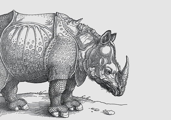 Titelmotiv zur Sonderausstellung Wundertier Nashorn mit Dürers Rhinocerus